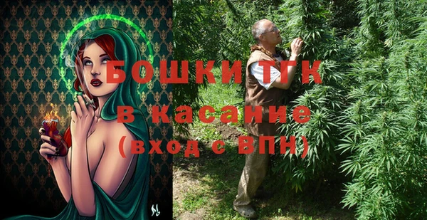 прущий лед Инсар