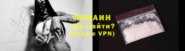 прущий лед Инсар