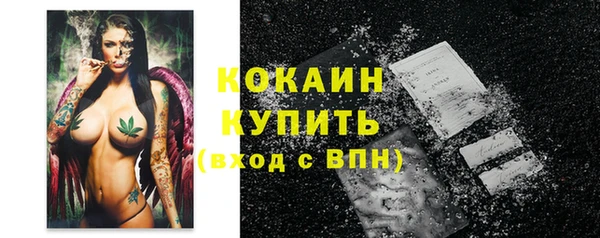 прущий лед Инсар