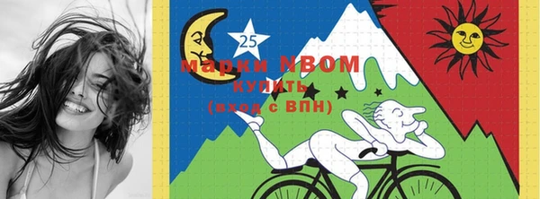 бошки Каменногорск