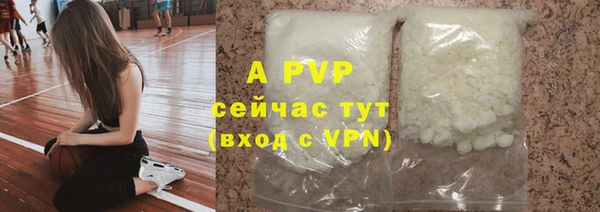 прущий лед Инсар
